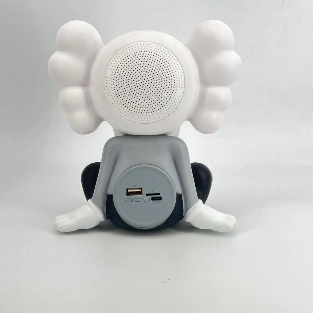 Parlante Bluetooth kaws 
