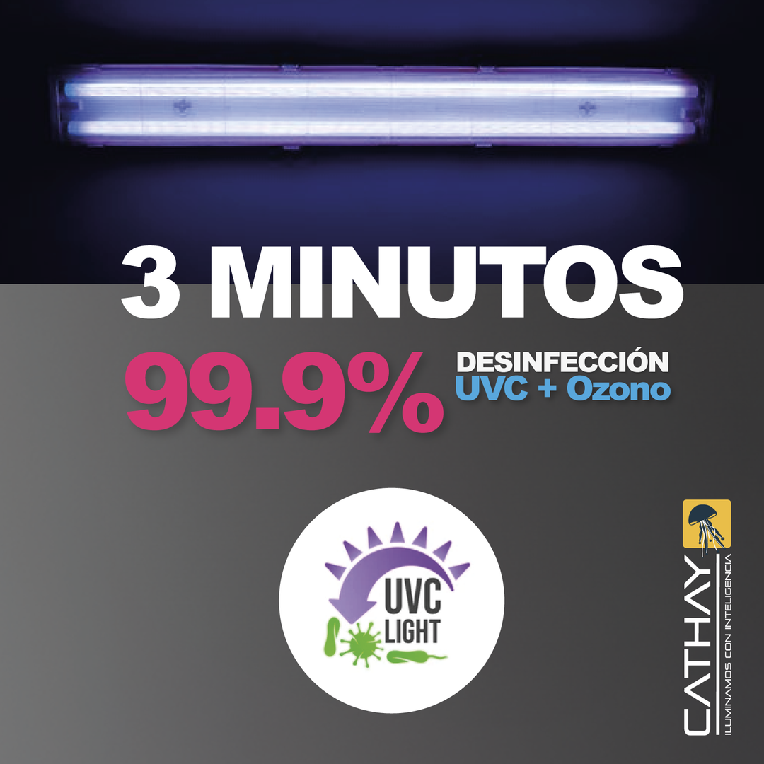  CAJA GERMICIDA MULTIPLE