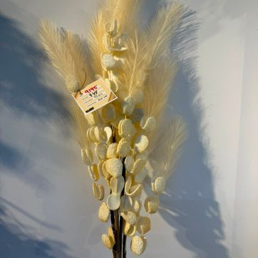 Imagen del producto ESPIGA CON PAMPA Y ESPUMADO BEIG