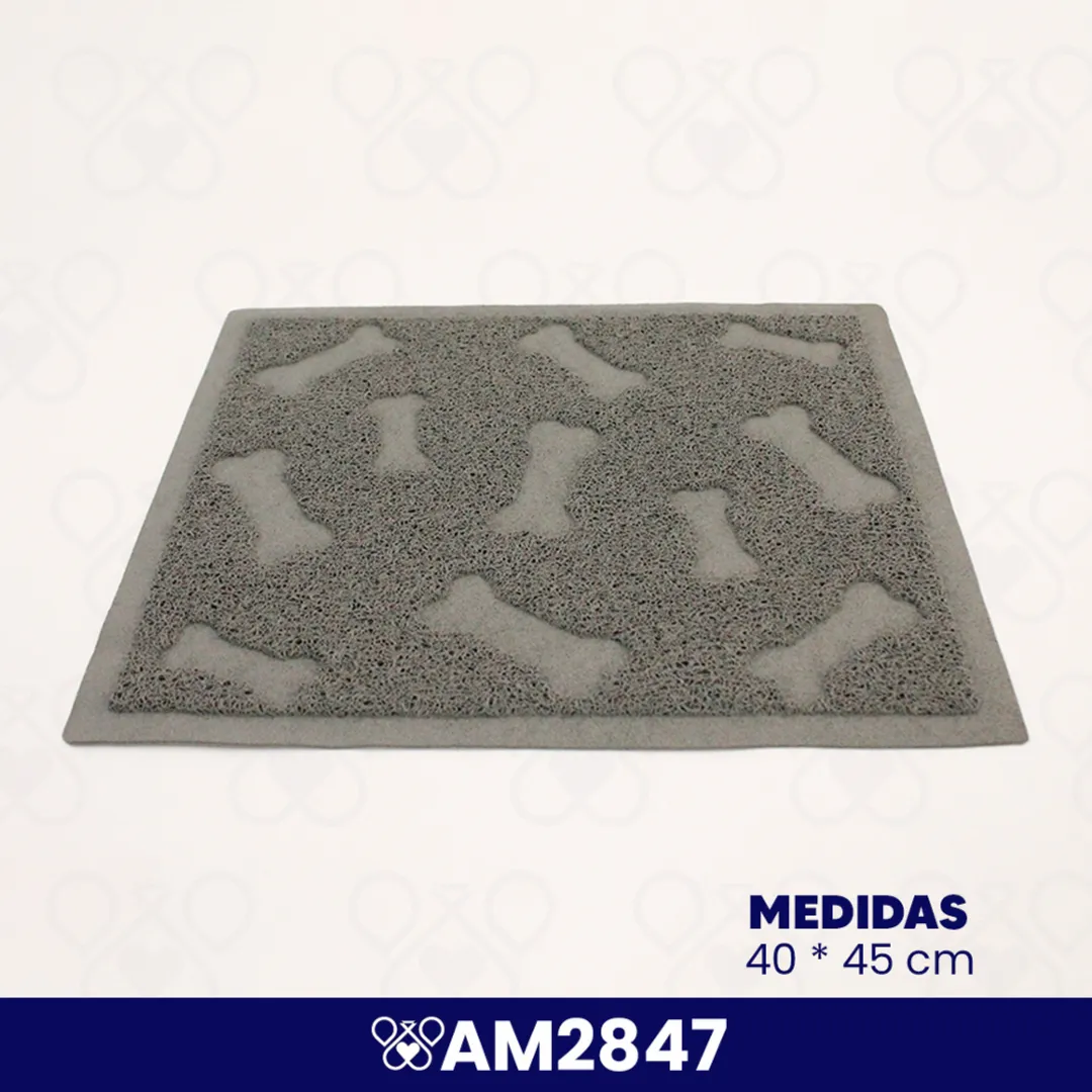 AM2847