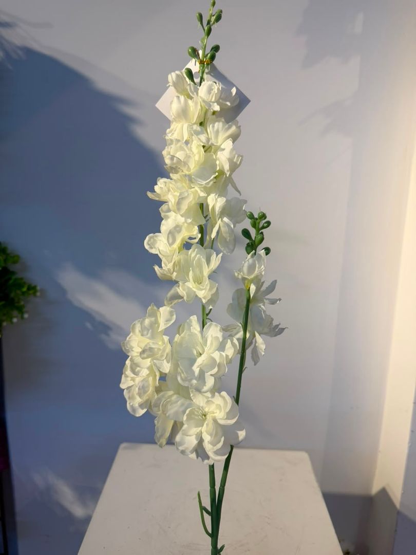 DELFINIO BLANCO X 2
