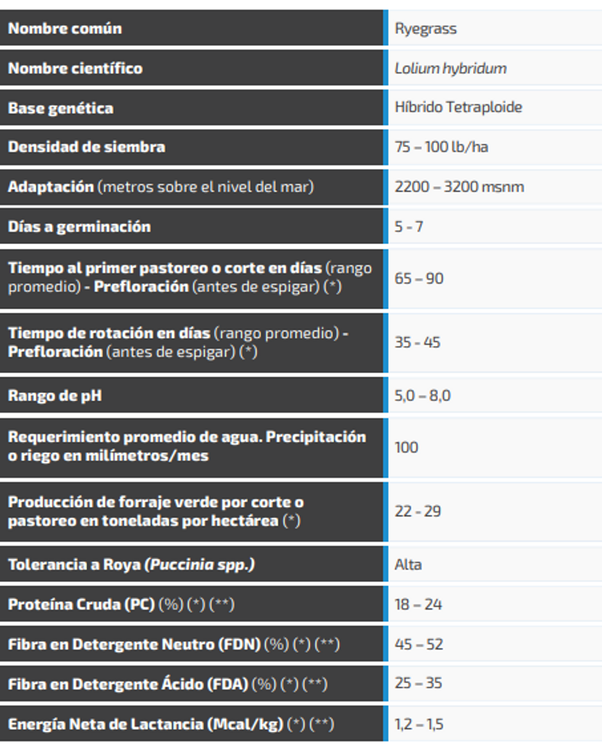 Ryegrass Baradil (Híbrido tetraploide) x Kilos