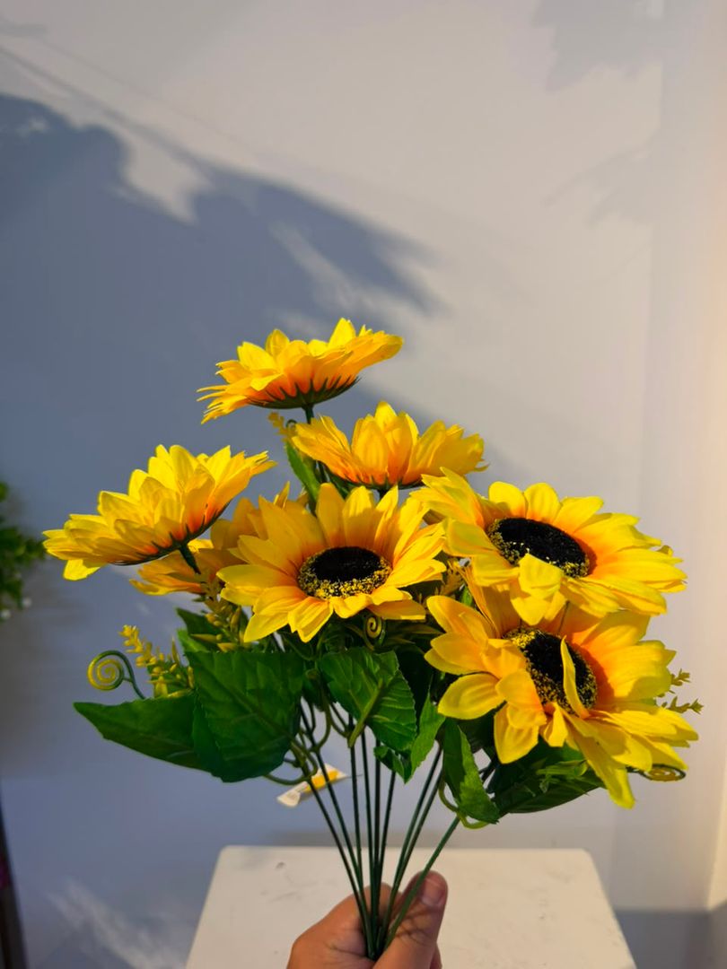 GIRASOL X 9