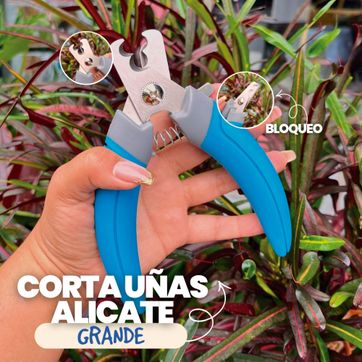 Imagen del producto CRG02