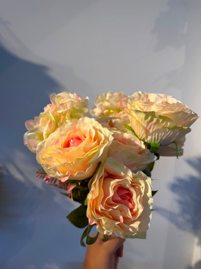 BOQUET SALMON ROSADO X 11 VARAS