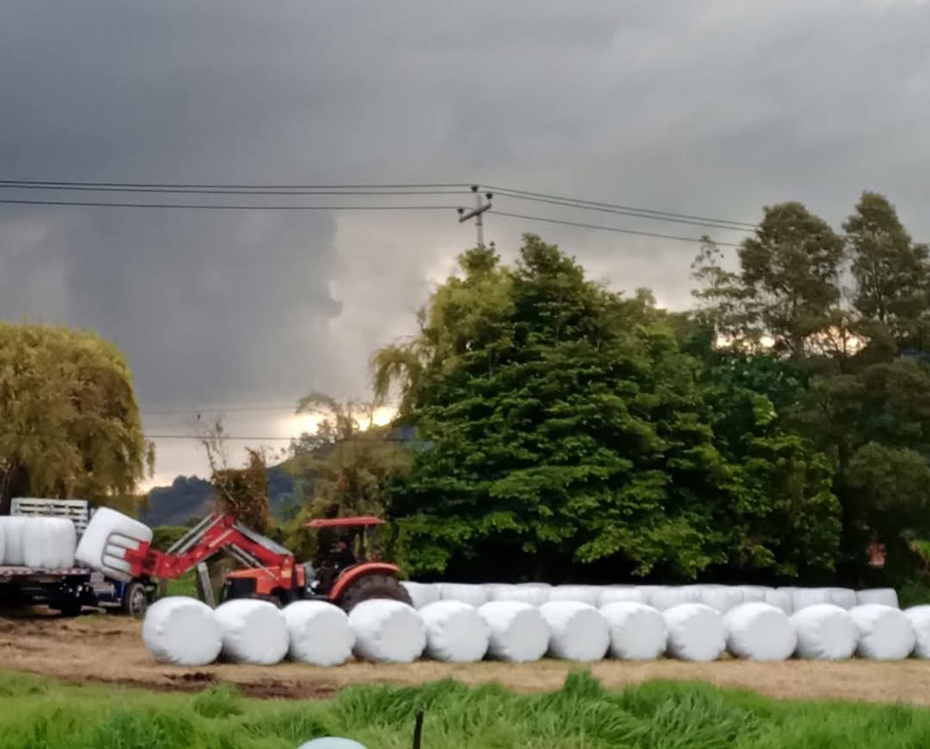 BOLA DE HENOLAJE DE 600KG