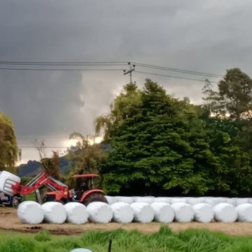 BOLA DE HENOLAJE DE 600KG - imagen 1