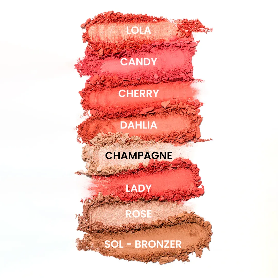 PALETA DE RUBOR LIGHT SET 8T