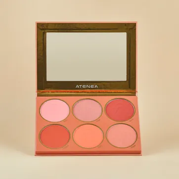 Imagen del producto PALETA DE RUBORES X6 ATEMPORAL 