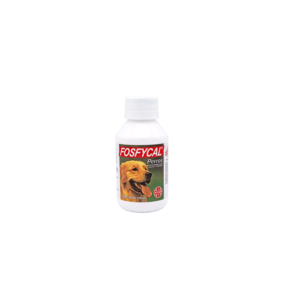 FOSFYCAL 120 ML