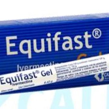 Imagen del producto EQUIFAST GEL
