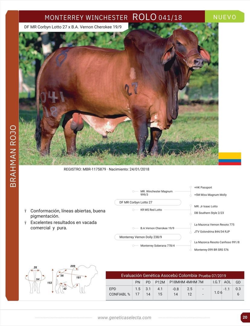 ROLO 041/18