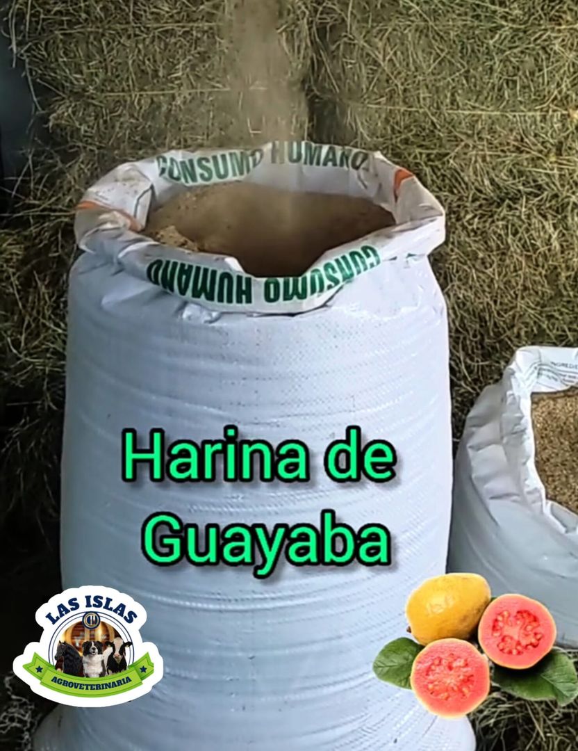 HARINA DE GUAYABA