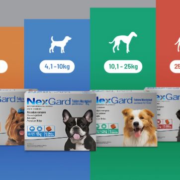 Imagen del producto Nexgard 