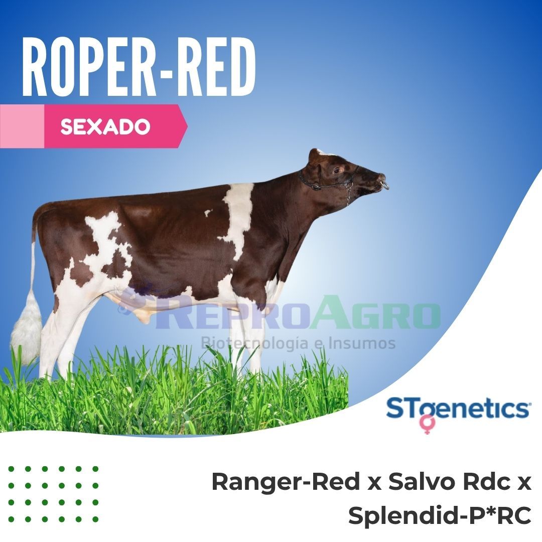 ROPER-RED SEXADO