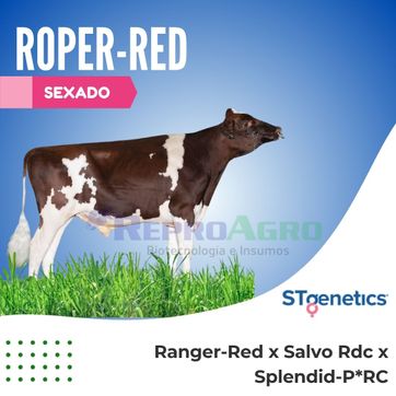 ROPER-RED SEXADO - imagen 1