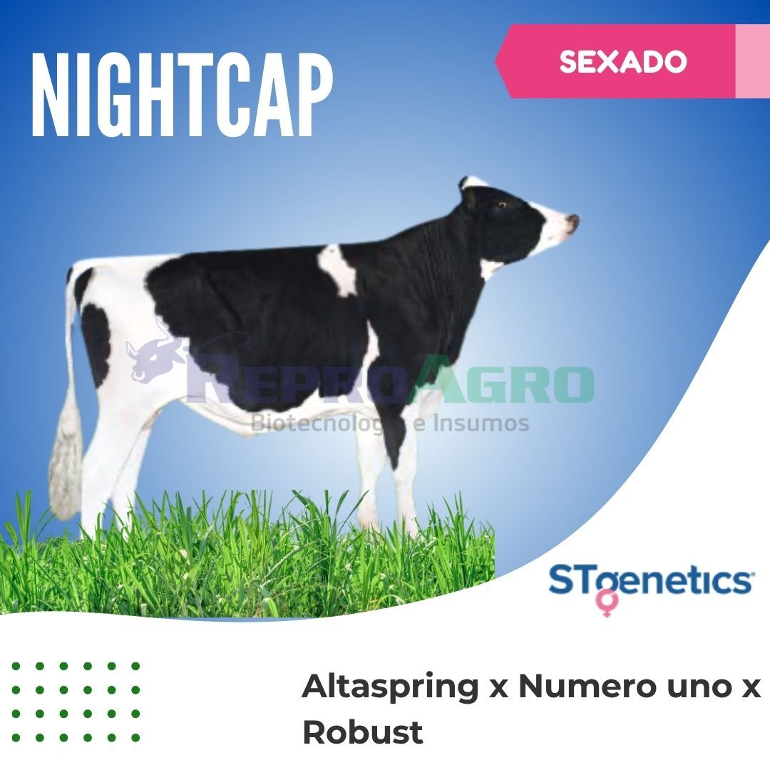 NIGHTCAP SEXADO