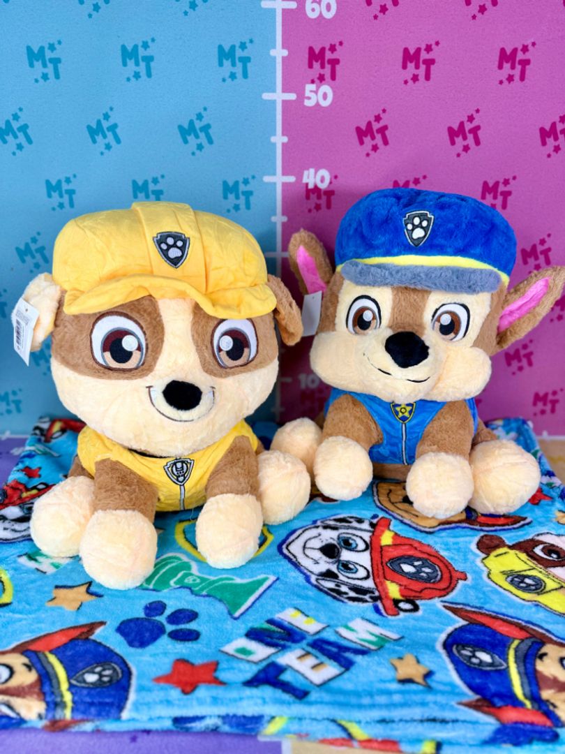 Cobija Paw patrol D-40