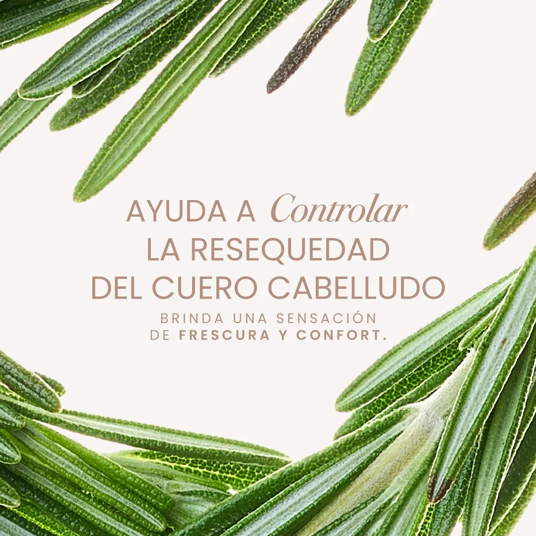 Aura capilar Romero y menta 