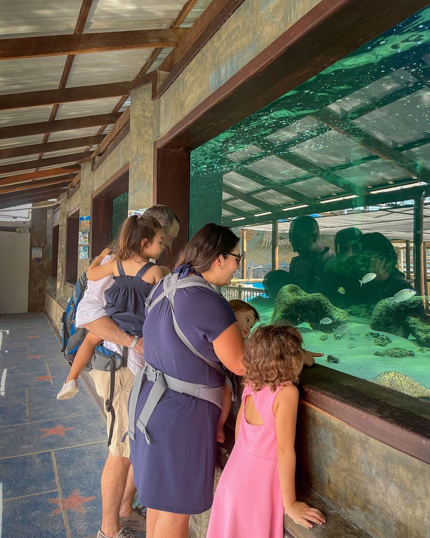 ACUARIO Y PLAYA BLANCA 