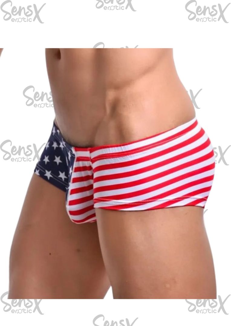 Bóxer masculino con diseño bandera de EE.UU