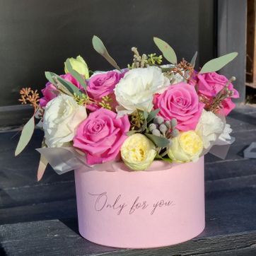 Imagen del producto Caja Purpura