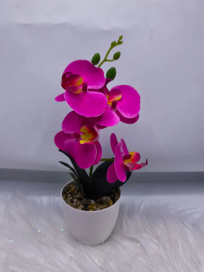 MATERO ORQUIDEA PM547