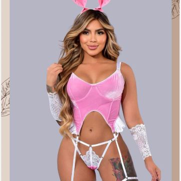 Imagen del producto CONEJA ROSA PROVO