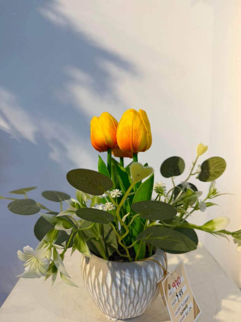 BONSAI DE TULIPANES AMARILLOS