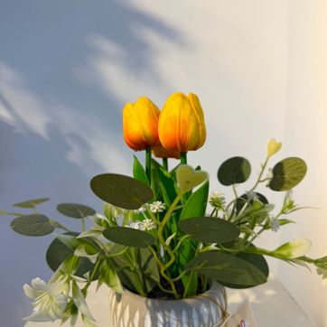 Imagen del producto BONSAI DE TULIPANES AMARILLOS