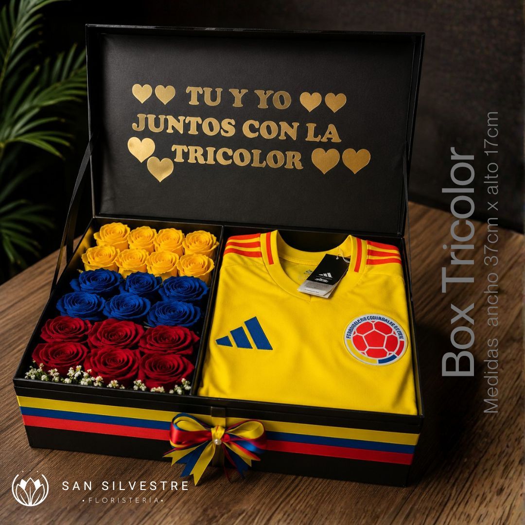 BOX TRICOLOR