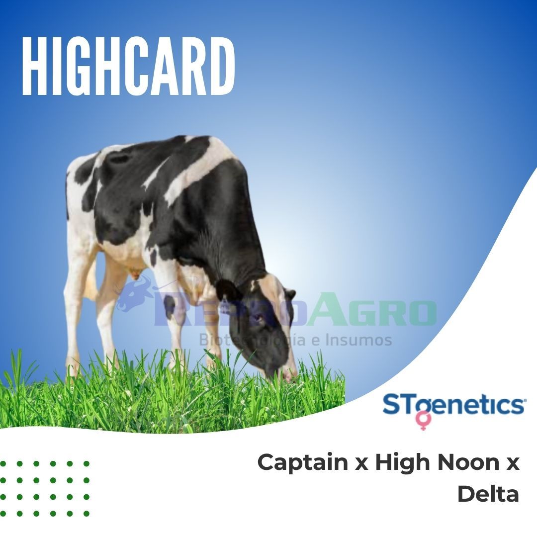 HIGHCARD