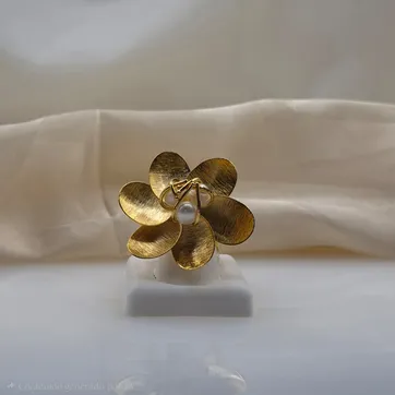 Imagen del producto ANILLO