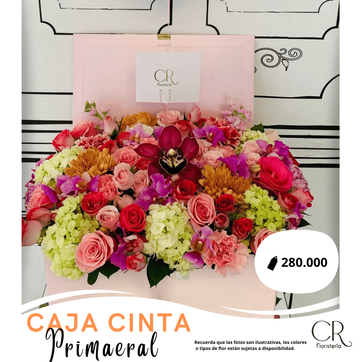 Caja Cinta Deluxe Primaveral - imagen 1