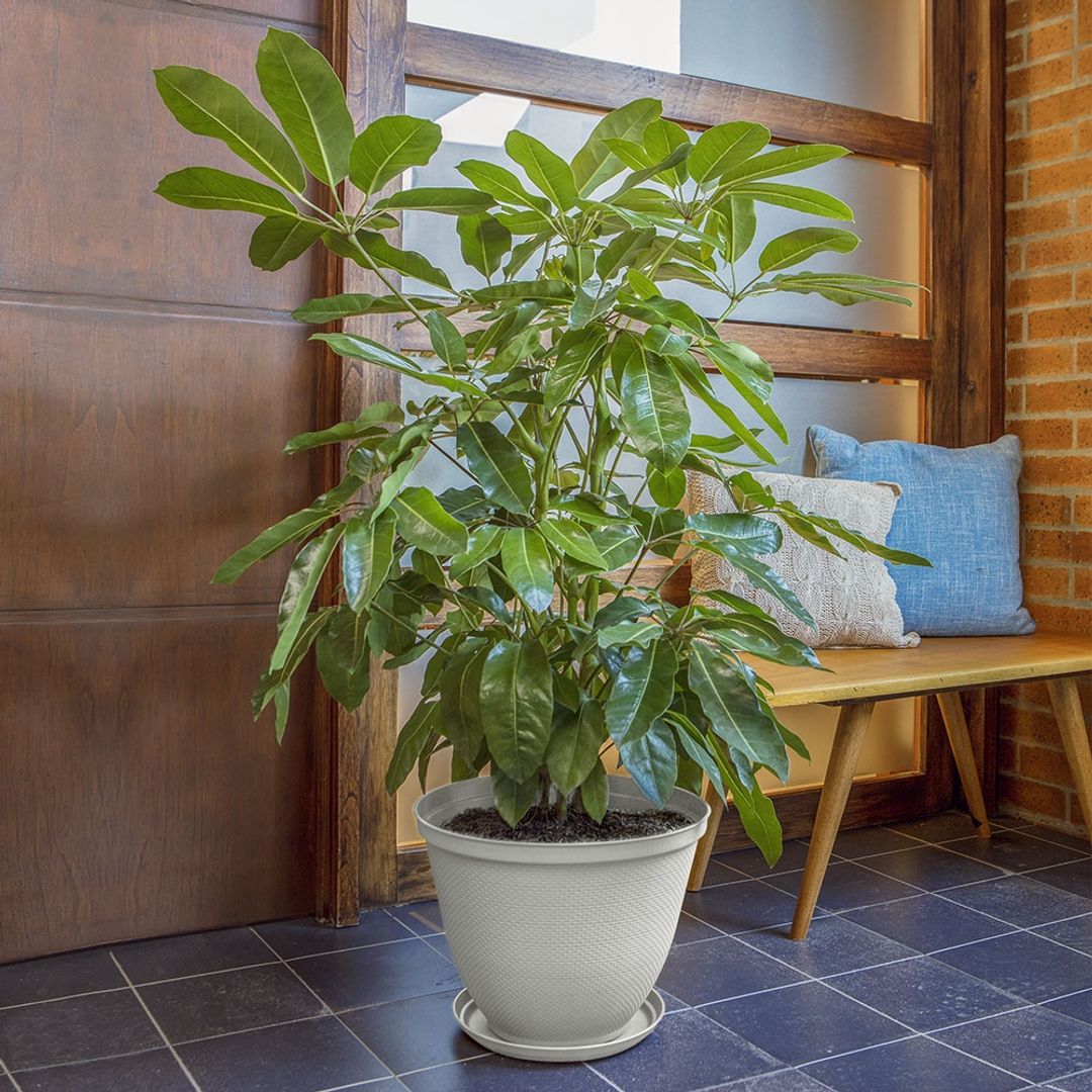 Matera Redonda Rafia 35 Cm con Plato