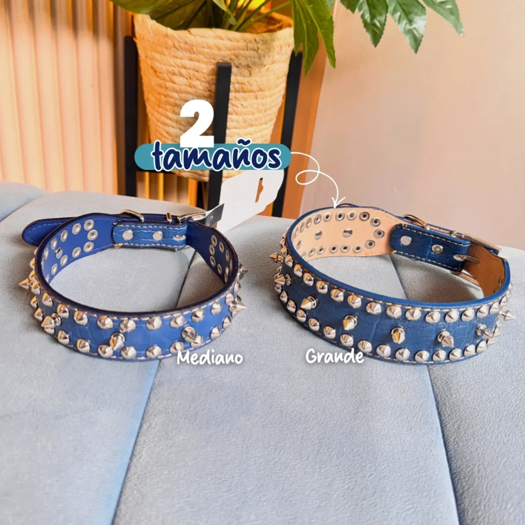 PSC02-
