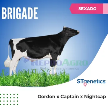 BRIGADE SEXADO - imagen 1
