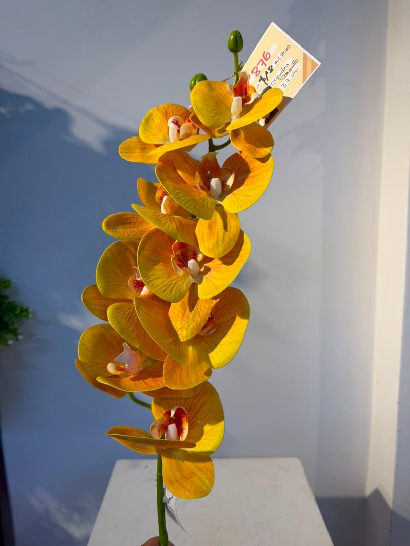 OQUIDEA AMARILLA EN VARA X 7 FLORES