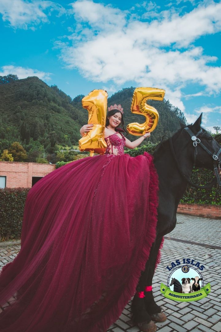 SESION FOTOGRAFICA CON CABALLO