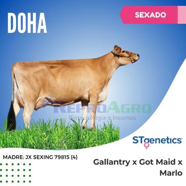 DOHA SEXADO - imagen 1