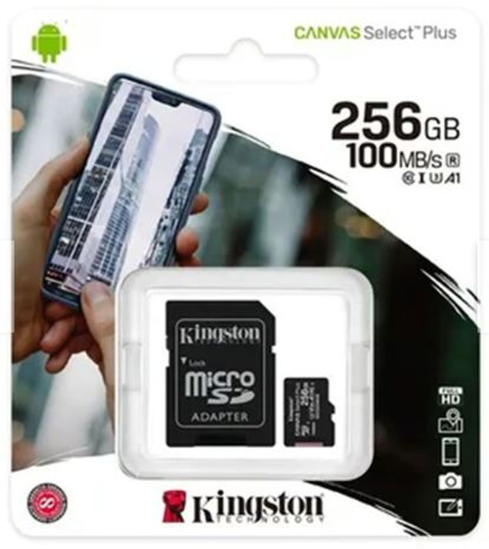 Memoria MicroSD 256GB