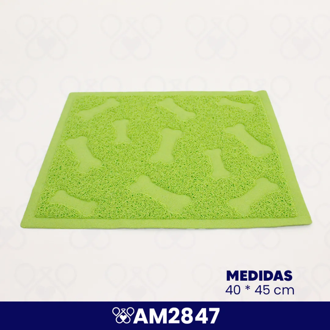 AM2847