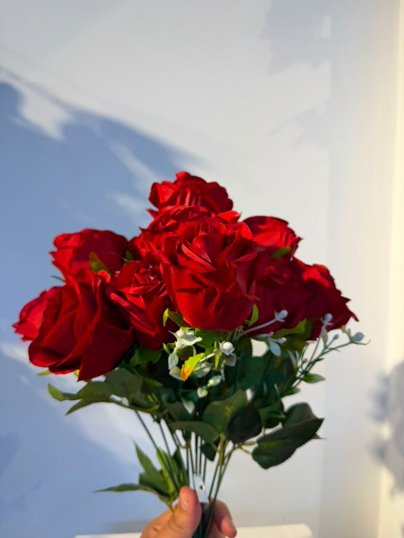 ROSA X 12 ROJA