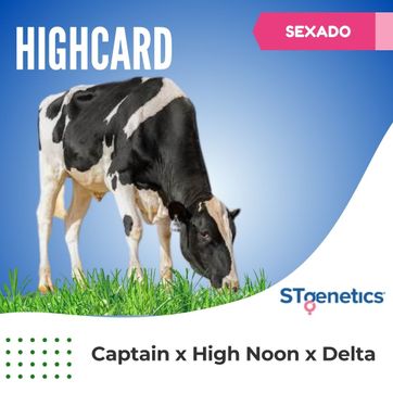 HIGHCARD SEXADO - imagen 1