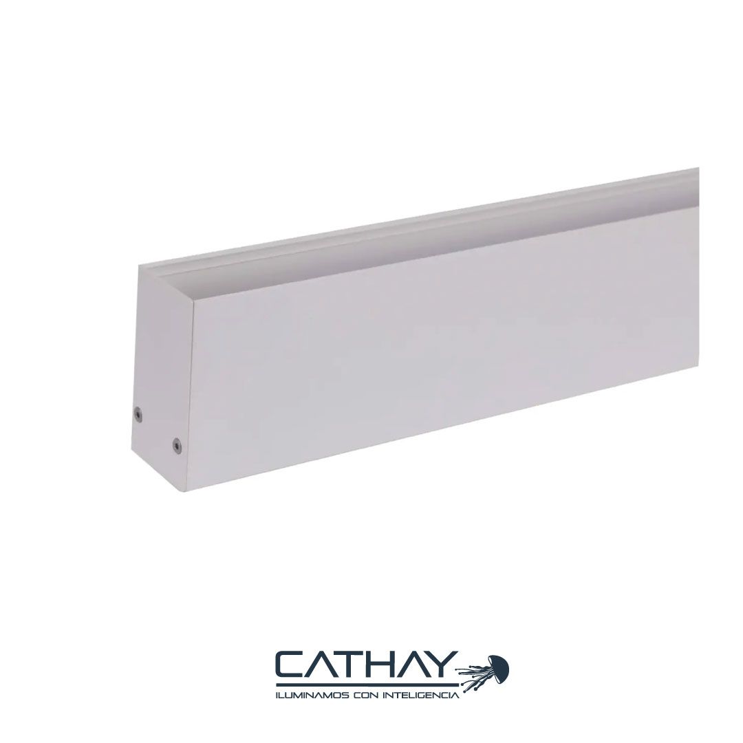 RIEL MAGNÉTICO x 1 MT