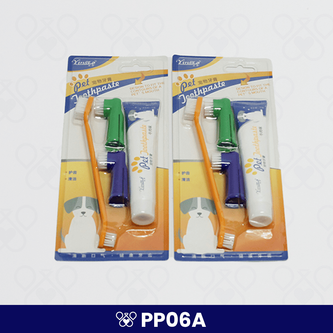 PP06A