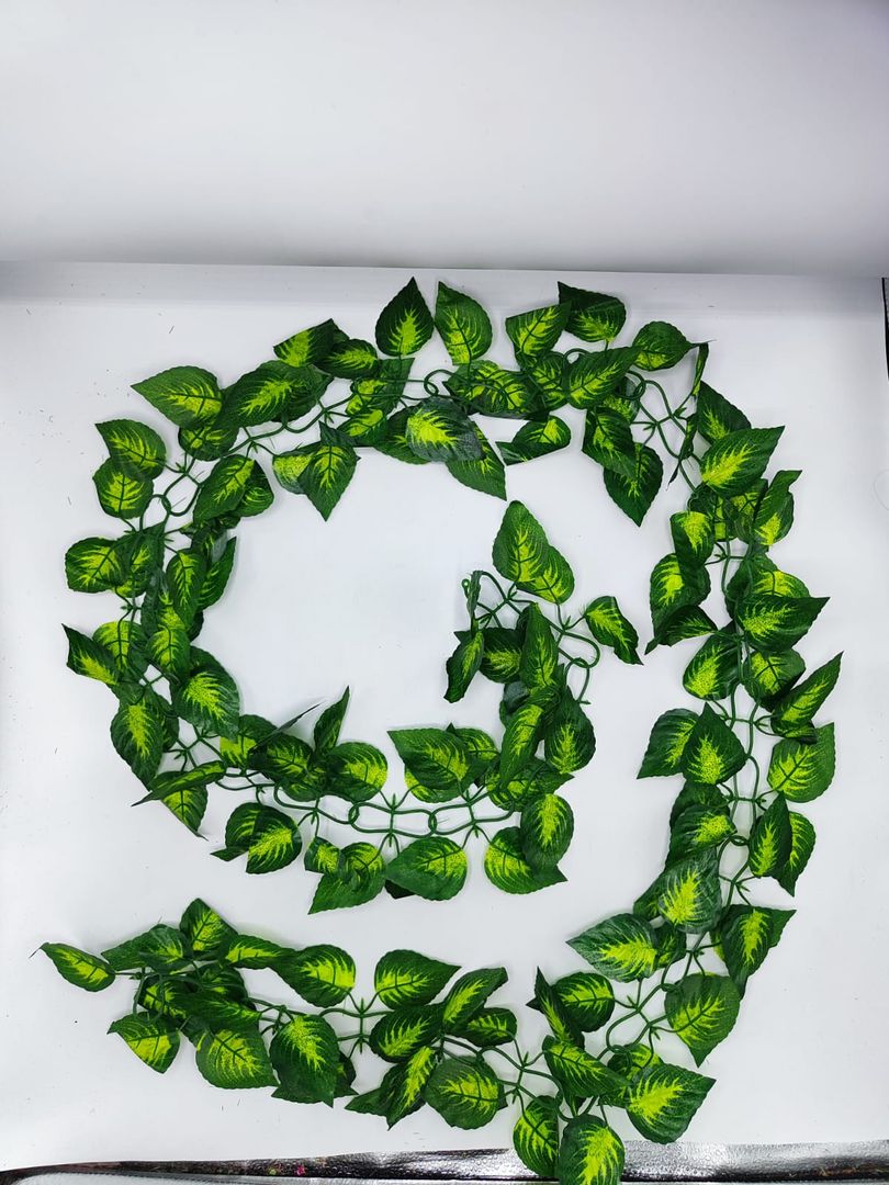 Enredadera de hoja  doble NA 007