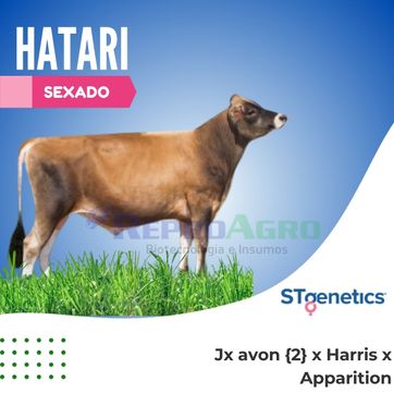 HATARI SEXADO - imagen 1