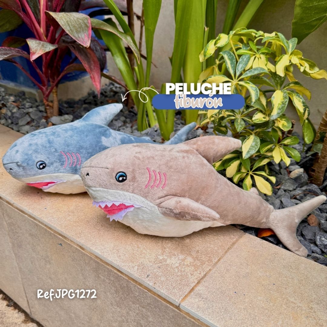 JPG1272