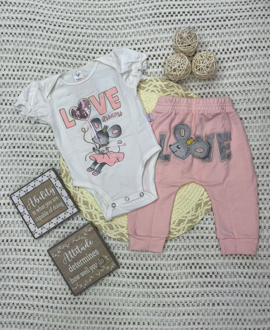 CONJUNTO LEGGIS